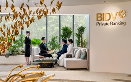 789bet hoangsa.net Next Gen Future Leader – Bệ phóng vững chắc cho thế hệ kế nghiệp tương lai