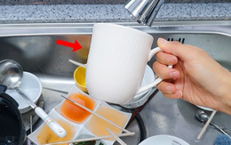 Rửa bát kiểu này thì xin lỗi, coi chừng vi khuẩn "cắm rễ" cả đời trong bếp nhà bạn! Rửa bát kiểu này thì xin lỗi, coi chừng vi khuẩn "cắm rễ" cả đời trong bếp nhà bạn!