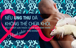 Các nhà khoa học tiêm thuốc chữa xương khớp cho chuột mắc ung thư giai đoạn cuối, chúng không khỏi ung thư, nhưng một điều kỳ diệu đã xảy ra