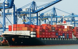 Mỹ vừa chốt đơn hơn 1 tỷ USD một 'mỏ vàng' của Việt Nam: thuế nhập 789bet uy tín 25%, nước ta là ông lớn thứ 3 thế giới