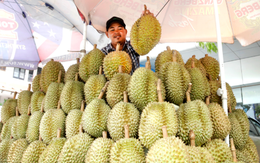 'Hàng xóm' của Việt Nam vừa 789bet thức gia nhập thị trường sầu riêng Trung Quốc: Quan chức gọi đây là 'thời khắc lịch sử', sản lượng ra sao so với các đối thủ?