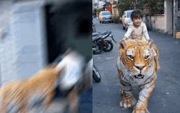 Cứ ngỡ sản phẩm của AI nhưng hình ảnh "em bé cưỡi hổ" trong xóm nhỏ TP.HCM là ảnh thật: Câu chuyện phía sau mới thú vị! Cứ ngỡ sản phẩm của AI nhưng hình ảnh "em bé cưỡi hổ" trong xóm nhỏ TP.HCM là ảnh thật: Câu chuyện phía sau mới thú vị!