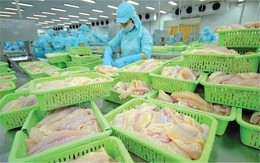 Con trai TGĐ công ty xuất khẩu thủy sản top đầu Việt Nam tiếp tục bị bán giải chấp 1,64 triệu cổ phiếu Con trai TGĐ công ty xuất khẩu thủy sản top đầu Việt Nam tiếp tục bị bán giải chấp 1,64 triệu cổ phiếu