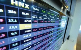 Những cổ phiếu nào được nhà đầu tư nước ngoài mua vào nhiều nhất trên HNX trong tháng 4?