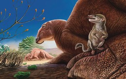 Sinh vật quái dị 90 triệu tuổi lộ diện giữa sa mạc Gobi