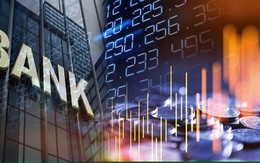 Ngân hàng chia cổ tức: Nơi 'mưa' tiền mặt, chỗ không đồng nào