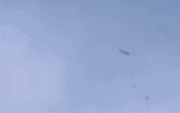 Cảnh tượng sốc: Cá bay đầy trời ở vùng biển Caribe, rốt cuộc chuyện gì đang xảy ra? Cảnh tượng sốc: Cá bay đầy trời ở vùng biển Caribe, rốt cuộc chuyện gì đang xảy ra?