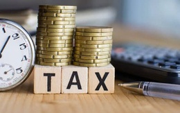 Công khai danh sách 848 doanh nghiệp nợ thuế tỉnh Quảng Ninh