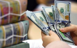 Vì sao đồng khuyến mãi 789bet suy yếu mạnh trên thị trường quốc tế nhưng vẫn tăng giá so với VND?