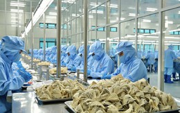 Lý do người Trung Quốc chưa biết nhiều về tổ yến Việt Nam