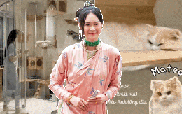 Ái nữ nhà quan trong "Thám tử Kiên": Nổi tiếng mê mèo, xây cả "villa" đầy đủ tiện nghi cho mèo