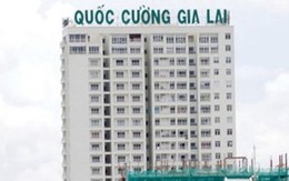 Cổ phiếu nhà Cường 'đô la' gây bất ngờ