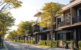 Vén màn lý do nhà đầu tư BĐS phía Bắc đang Nam tiến