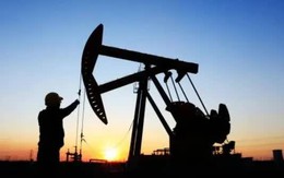 OPEC+ giữ mức tăng sản lượng dầu 411.000 thùng/ngày