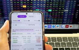 Đầu tư chứng khoán thế nào để không "mất ăn, mất ngủ"?