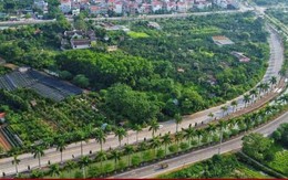 Hà Nội dự chi hơn 335 tỷ đồng làm 2 tuyến đường dài gần 2,5km