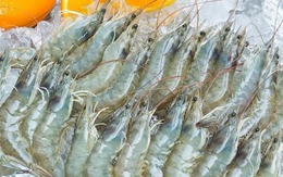 4 dấu hiệu nhận biết tôm "ngậm" hoá chất: Người bán còn không dám ăn, bạn mua là rước hại vào người