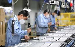 Sếp FPT lý giải vì sao hơn 110.000 doanh nghiệp biến mất 5 tháng đầu năm 2025 nhưng chỉ số kinh tế vẫn tăng cao