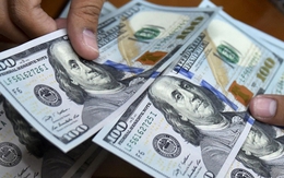 Tỷ giá USD chịu thêm áp lực từ động thái mới của Kho bạc Nhà nước