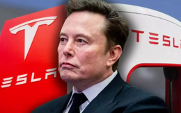 'Mắt thần' giá 0 đồng của Trung Quốc: Thứ đang hủy hoại giấc mơ giúp Tesla thu 1.000 tỷ USD không phải nhờ xe điện của Elon Musk 'Mắt thần' giá 0 đồng của Trung Quốc: Thứ đang hủy hoại giấc mơ giúp Tesla thu 1.000 tỷ USD không phải nhờ xe điện của Elon Musk