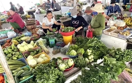 Triển khai hóa đơn điện tử từ máy tính tiền: Còn nhiều vướng mắc tại các chợ dân sinh