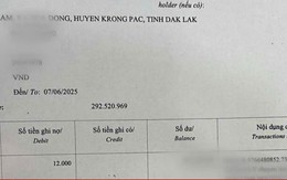 Bị lừa gần 300 triệu đồng sau khi nhận cuộc gọi tự xưng từ shipper Bị lừa gần 300 triệu đồng sau khi nhận cuộc gọi tự xưng từ shipper