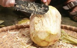 Đặc sản xưa hiếm ai ăn nay được dân phố ưa chuộng, 40.000 đồng/kg