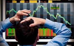 Doanh nghiệp nói gì về cổ phiếu giảm sàn 5 phiên sau tin Chủ tịch và Tổng Giám đốc bị khởi tố? Doanh nghiệp nói gì về cổ phiếu giảm sàn 5 phiên sau tin Chủ tịch và Tổng Giám đốc bị khởi tố?