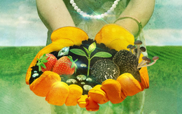 Trả 78 triệu đồng/đêm để về quê hái rau, vắt sữa bò, trải nghiệm nông thôn đang trở thành xa xỉ phẩm đem ra kinh doanh, khách nườn nượp xếp hàng vì ‘đáng đồng tiền bát gạo’