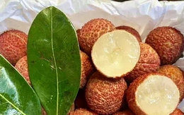 Vải thiều Trung Quốc 'đổ bộ' chợ Việt, giá cao không tưởng Vải thiều Trung Quốc 'đổ bộ' chợ Việt, giá cao không tưởng