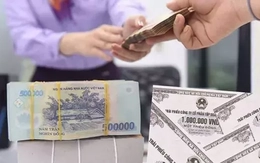 Trái chủ điêu đứng, doanh nghiệp mặc kệ Trái chủ điêu đứng, doanh nghiệp mặc kệ