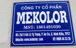 Công ty trong liên minh đề xuất làm dự án đường sắt tốc độ cao lãi hơn 1,3 triệu đồng