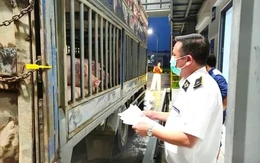 Hà Nội: Liên ngành đột xuất kiểm tra Công ty C.P trong đêm