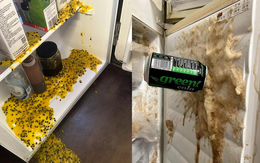 Vứt ngay 5 thứ này khỏi tủ lạnh, đừng đợi chúng nổ tung mới hối hận muộn màng