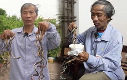 “Dị nhân” Nam Định nuôi móng tay 35 năm không cắt lên tiếng về thông tin muốn bán bộ móng với giá 7 tỷ “Dị nhân” Nam Định nuôi móng tay 35 năm không cắt lên tiếng về thông tin muốn bán bộ móng với giá 7 tỷ