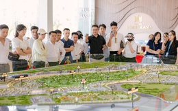 Hải Phòng: Tầng lớp tinh hoa mới trỗi dậy, “chất sống” được tái định nghĩa Hải Phòng: Tầng lớp tinh hoa mới trỗi dậy, “chất sống” được tái định nghĩa