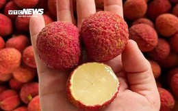 Vải không hạt Trung Quốc đổ bộ chợ Việt, giá gần 1 triệu đồng/kg