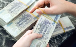 Một hộ kinh doanh bán lẻ thủy sản thu 560 tỷ đồng trong năm 2024, 5 hộ kê khai doanh thu hơn 200 tỷ đồng/năm Một hộ kinh doanh bán lẻ thủy sản thu 560 tỷ đồng trong năm 2024, 5 hộ kê khai doanh thu hơn 200 tỷ đồng/năm