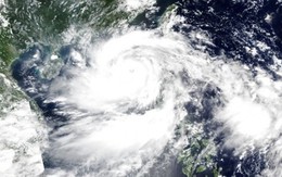 Năm 2025 có bao nhiêu cơn bão đổ bộ vào Việt Nam? Năm 2025 có bao nhiêu cơn bão đổ bộ vào Việt Nam?