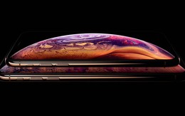 iPhone XS chính thức lọt vào danh sách 'đồ cổ': Siêu phẩm một thời đình đám giờ chỉ còn là dĩ vãng iPhone XS chính thức lọt vào danh sách 'đồ cổ': Siêu phẩm một thời đình đám giờ chỉ còn là dĩ vãng