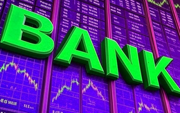 Cổ phiếu ngân hàng tuần qua: STB tăng 7,5%, CTG tăng 5%, một nhà băng chia cổ tức tiền mặt Cổ phiếu ngân hàng tuần qua: STB tăng 7,5%, CTG tăng 5%, một nhà băng chia cổ tức tiền mặt