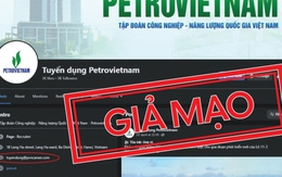 Thương hiệu lớn bị mạo danh, nhiều người có trình độ nhận trái đắng