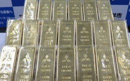 Xôn xao cụ ông 70 tuổi mang túi vàng "khủng" gần 60 tỷ đến tặng cho thành phố