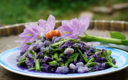 Việt Nam có loại rau dại dùng để nuôi lợn, nay thành hàng xuất khẩu top 1: Công dụng ít ai ngờ