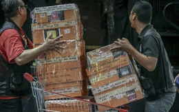 Tịch thu 660 tỷ đồng nằm rải rác trong một căn hộ chung cư trống người ở