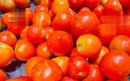 Khi mua cà chua, nên chọn quả tròn hay nhọn? Một nông dân trồng rau giàu kinh nghiệm sẽ chỉ chọn loại này