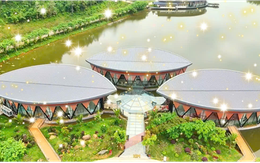 LAMORI vũ khúc hè sôi động