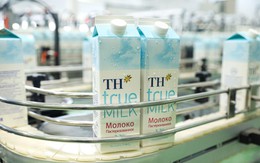 Dự án chăn nuôi và chế biến sữa tươi sạch của TH tại “vựa sữa” Kaluga của Liên bang Nga