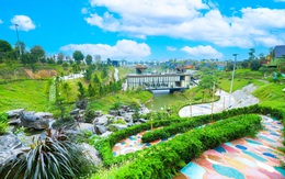 Tỉnh giấc giữa đồi thông, Legacy Hill và hành trình tìm về giá trị sống nguyên bản