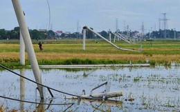 Cột điện đường dây 22 kV gãy đổ như "ngả rạ" sau mưa dông ở Thanh Hóa